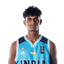 Vishal player photo