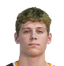 Henry Harrison player photo