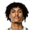 Tai Hamilton player photo