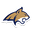 live score, sport predictions, fixtures and odds - Ncaa Weber State Vs Montana State Scores