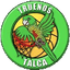 Truenos de Talca - Team Truenos De Talca Results