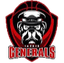 Taguig generals - Team Taguig Generals Basketball