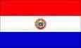 Paraguay logo