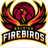 Raleigh Firebirds - Team Albany Patroons Basketball Live Score