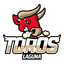 Toros de Torreon - Team Toros De Torreon Basketball Live