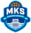Dabrowa Gornicza logo