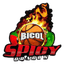 Bicol Spicy Oragons - Team Bicol Spicy Oragons Sport