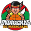 Indigenas Matagalpa - Team Indigenas Matagalpa Result