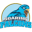 AdU Soaring Falcons - Team Adu Soaring Falcons Basketball Result