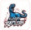 Runnin Raptors - Team Runnin Raptors Live Result