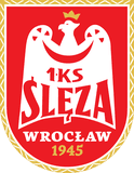 Wroclaw Women's - Womens Liga Koszykwki Kobiet Kssse Azspwsz Gorzow Women Vs Wroclaw Womens Live