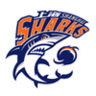 Shanghai Sharks Reserves - Shanghai Sharks Reserves Vs Qingdao Eagles Reserves Prediction