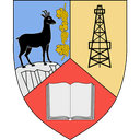 Judetean Prahova Women - Judetean Prahova Women Vs Rapid Bucuresti Women Basketball Live