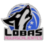 Lobas Women - Team Lobas Women Results