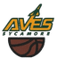Aves - Team Aves Results