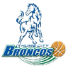 Hume City Broncos logo