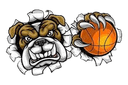 Bulldogs - Seven Vs Bulldogs Sport