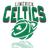 Limerick Celtics - Team Killester Dublin Basketball Live Score