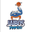 Jaibos de Tampico - Team Jaibos De Tampico Live Score