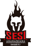 Sesi Araraquara Women - Sesi Araraquara Women Vs Sampaio Women Live