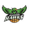 Ringwood Hawks logo