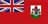 Bermuda logo