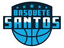 Basquete Santos 1D - Team Basquete Santos D Live