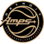 Detroit Amps - Team Detroit Amps Result