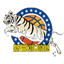Xinjiang Flying Tigers Reserves - Team Xinjiang Flying Tigers Reserves Live
