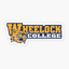 Wheelock College - Live Team Wheelock College
