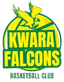 Kwara Falcons - Team Kwara Falcons Live Basketball
