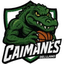 Caimanes del Llano - Team Caimanes Del Llano Basketball Live
