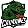 Caimanes del Llano - WNBA Prediction