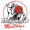 Maitland Mustangs Women - Wnbl East Maitland Mustangs Women Vs Penrith Panthers Women Basketball Result