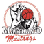 Maitland Mustangs Women - Team Maitland Mustangs Women Basketball Result
