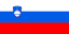 Slovenia - Team Slovenia Basketball Result