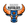 Hanoi buffalo - NBA Prediction