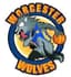Worcester Wolves - Team Worcester Wolves Basketball Result