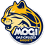 Mogi Basquete LDB U22 - Team Mogi Basquete Ldb U Live