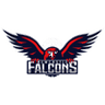 Newcastle Falcons logo