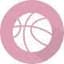 Santo Andre U20 logo