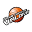 Valdivia SAESA logo
