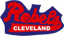 Cleveland Rebels - Team Cleveland Rebels Scores