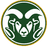 Colorado State Women - Team Fresno State Bulldogs Women Basketball