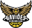 Gavioes De Sao Bras - Team Gavioes De Sao Bras Basketball Score