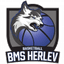 Herlev Women - Live Team Herlev Women