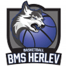 Herlev Women - Live Team Herlev Women
