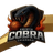Crypto Cobra Chiangrai logo