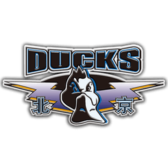 Beijing Beiqi - Player Egerman 76302 Result