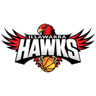 Illawarra Hawks Waratah logo